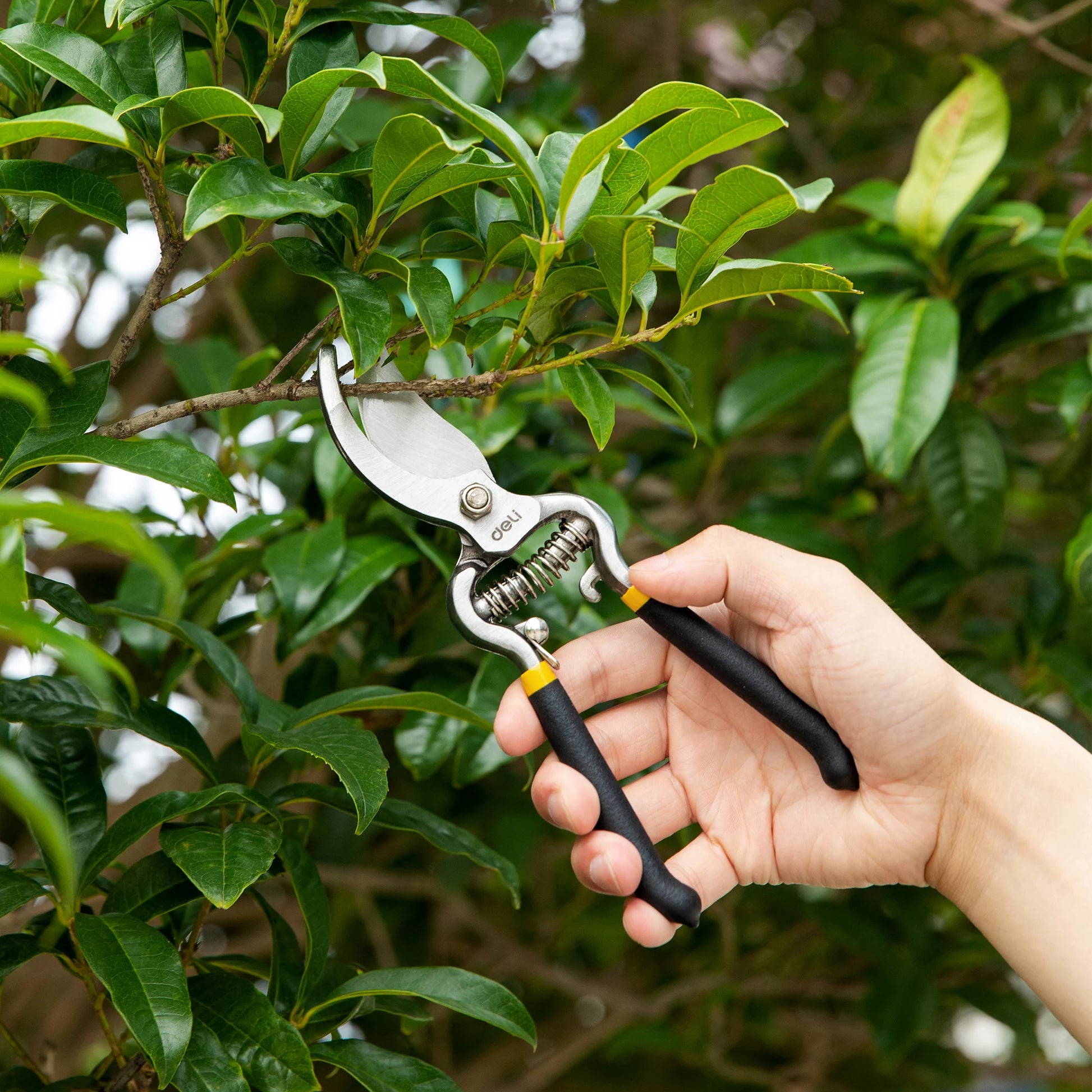 Deli Garden Pruning Shears, 8" Bypass Gardening Pruner, Garden Scissors, Garden Clippers, Black